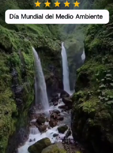 Día Mundial del Medio Ambiente 🌱 | FENOTRAP se suma a la conmemoración de SITRAINA 🤝